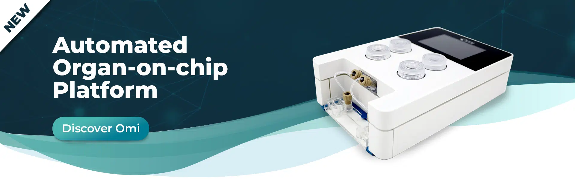 Organ-on-chip Cell culture