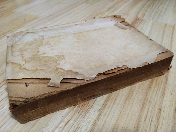 โลกเก่าโลกใหม่ (ตำหนิ)