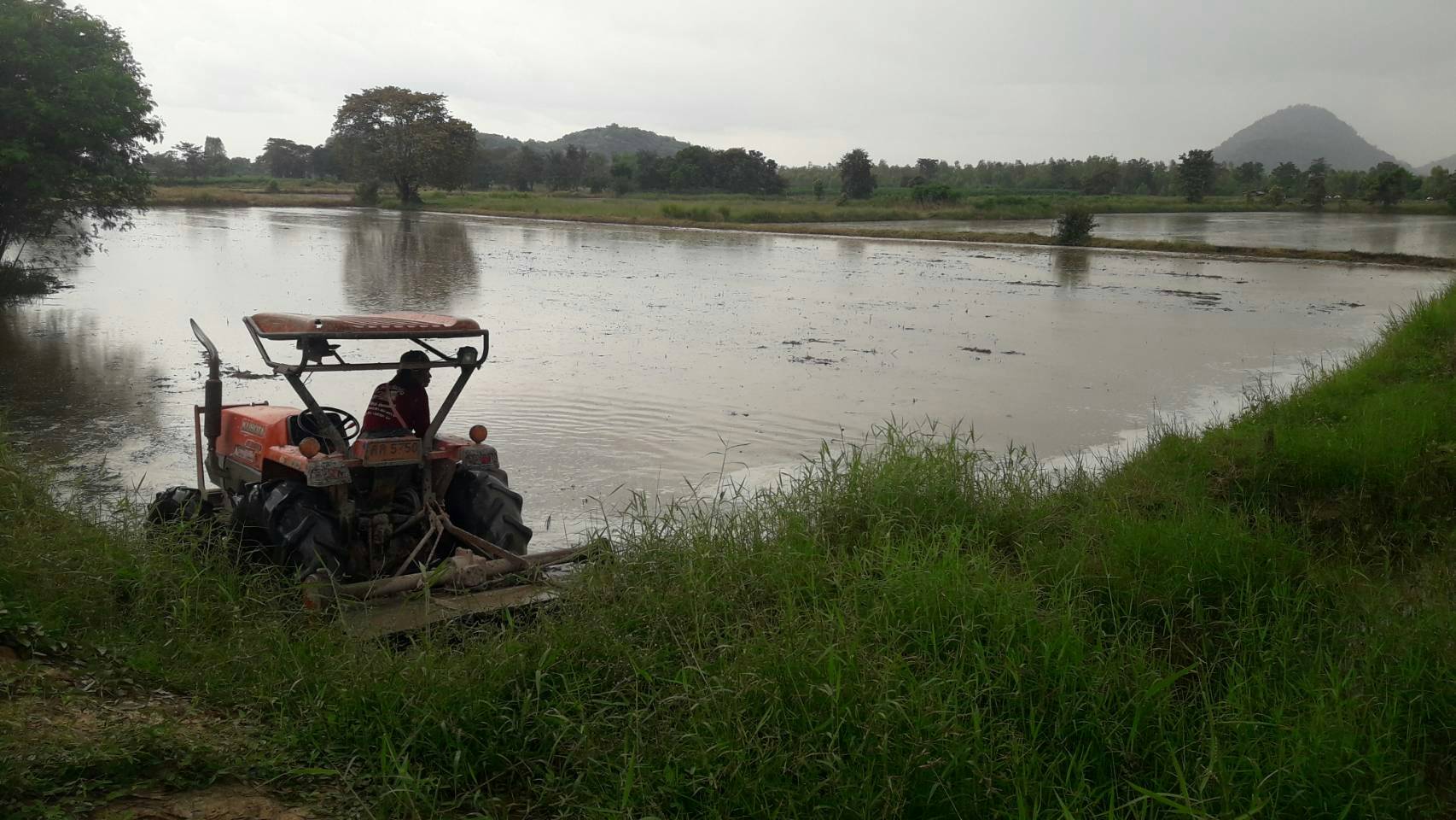 ด่วนขายที่ดินราคาถูกใกล้ถนนใหญ่พหลโยธิน 2.6 กม.ห่างจากปั้มบางจากถนนสายเอเชีย 5 กม.61 ไร่ 2 งาน 82 ตรว.การเดินทางสะดวก อ.เมืองนครสวรรค์