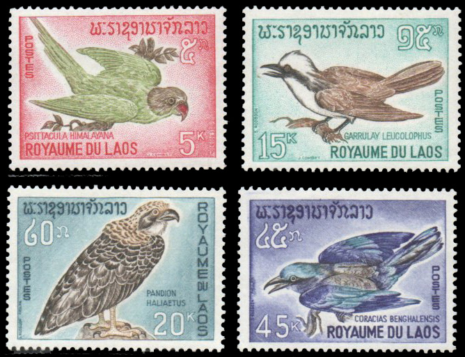 Birds 1966