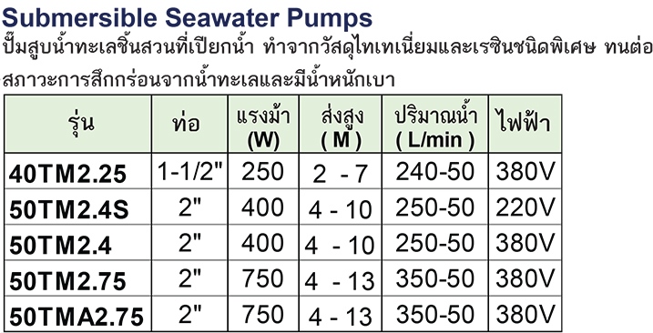 TSURUMI PUMP ปั๊มแช่สูบน้ำทะเล รุ่น 50TM2.75