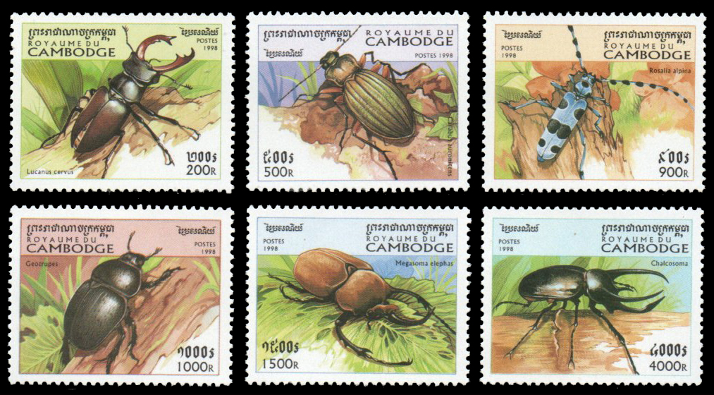 1998 Beetles