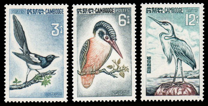 Birds 1964
