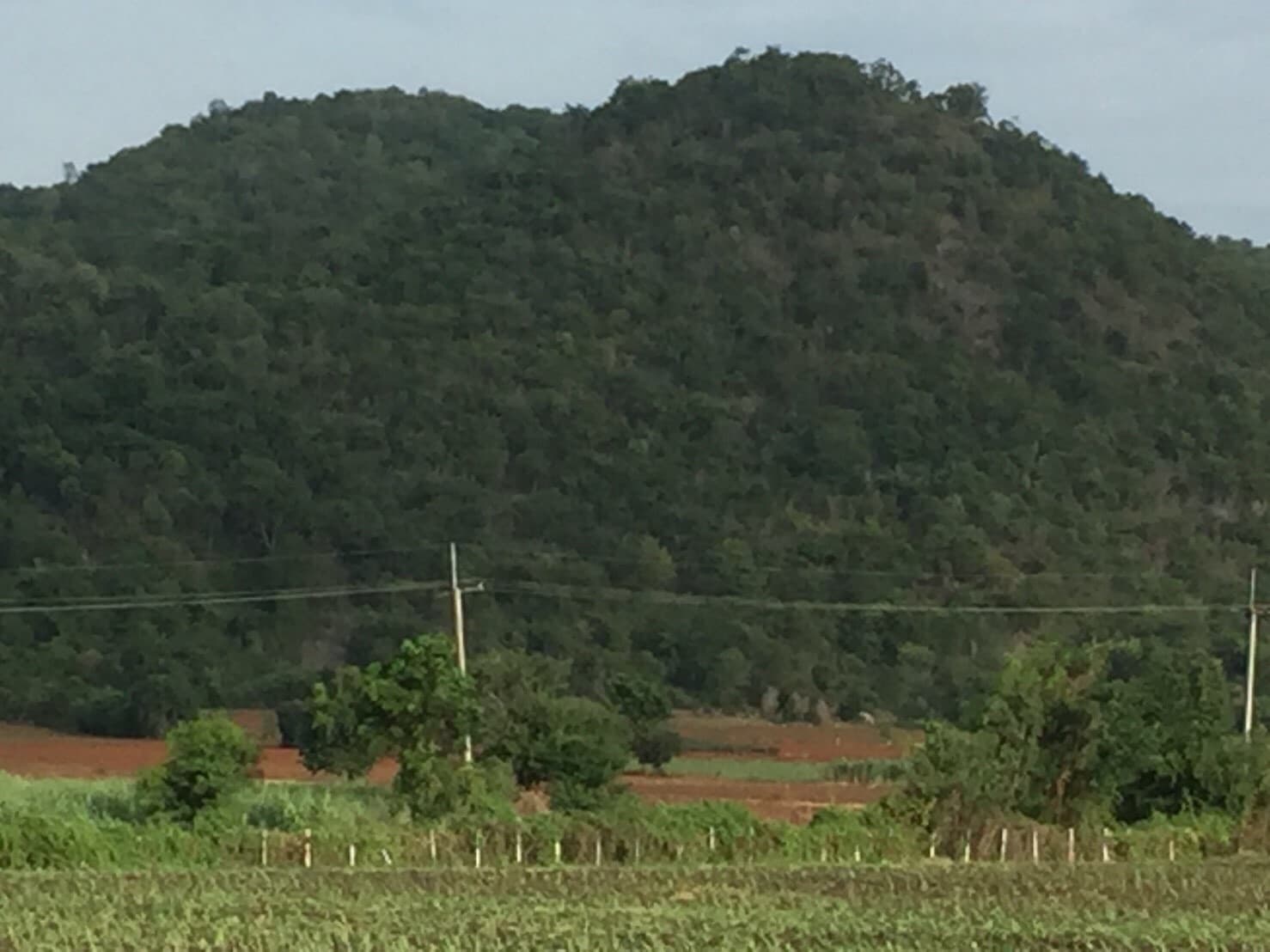 ขายที่ดินสวยราคาถูกที่สุด ห่างจากทุ่งดินดำรีสอร์ท 1.78กม.บรรยากาศดีทิวเขาสวยเหมาะทำการเกษตรอยู่อาศัยอ.อู่ทองจ.สุพรรณบุรี