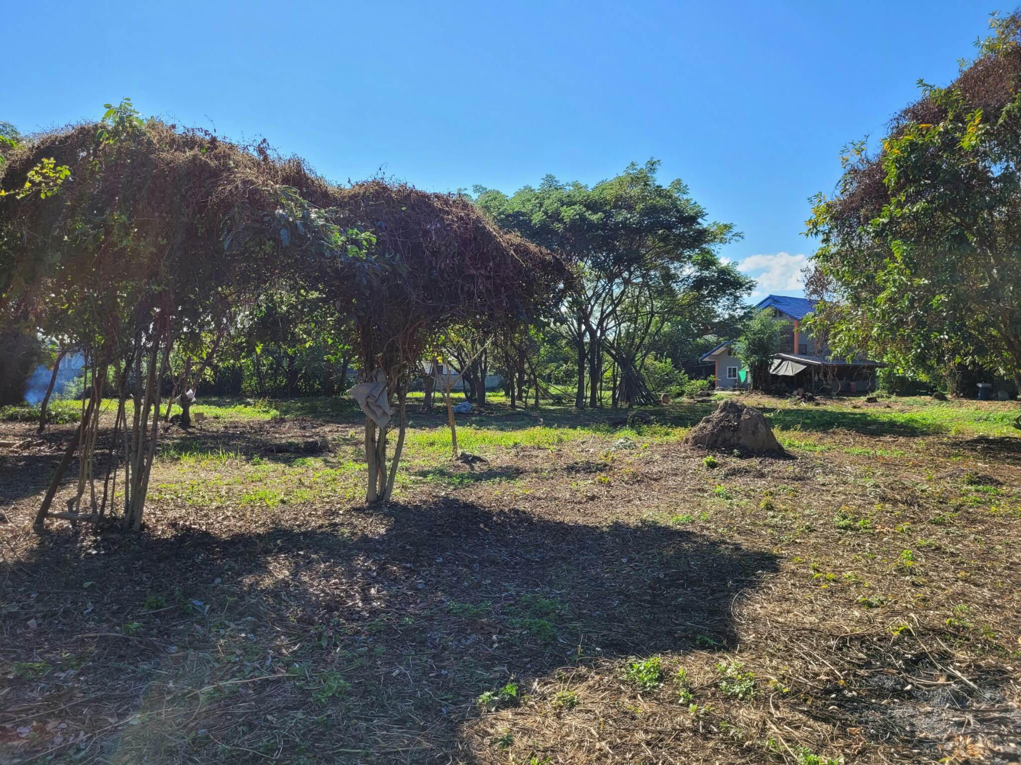 ขายที่ดินราคาถูก อ.เมืองลำปาง เจ้าของขายโดยตรง ใกล้โกบอลเฮ้าส์และเซเว่นสาขาปงแสนทองที่ดินสวยเหมาะทำธุรกิจบรรยากาศดีแบ่งขาย 3 ไร่ ติดต่อเจ้าของที่ 081-9525175 คุณอำนวย