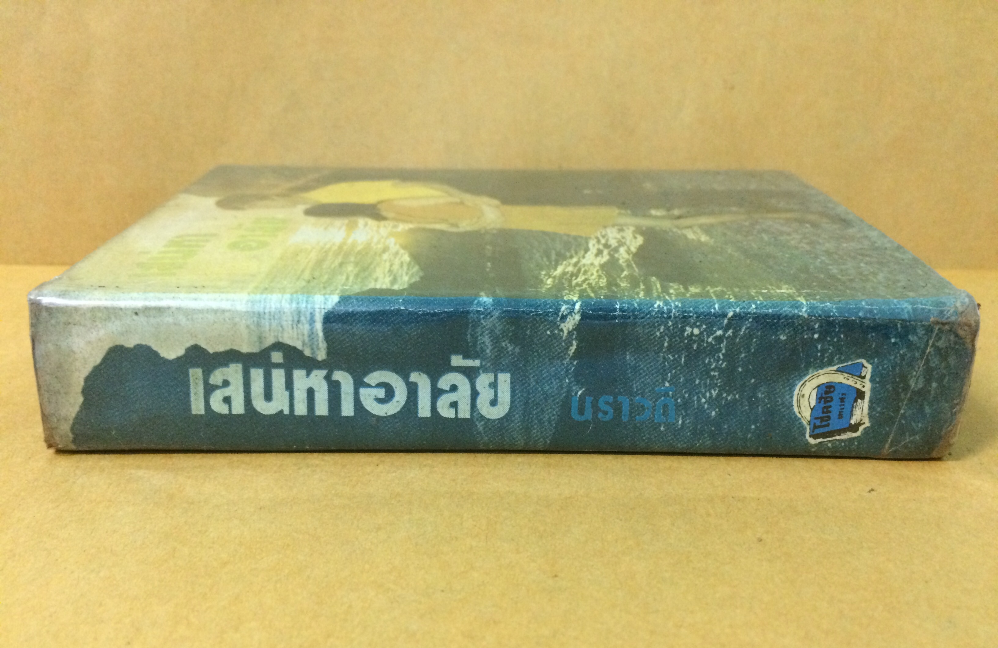 เสน่หาอาลัย (เล่มเดียวจบ)