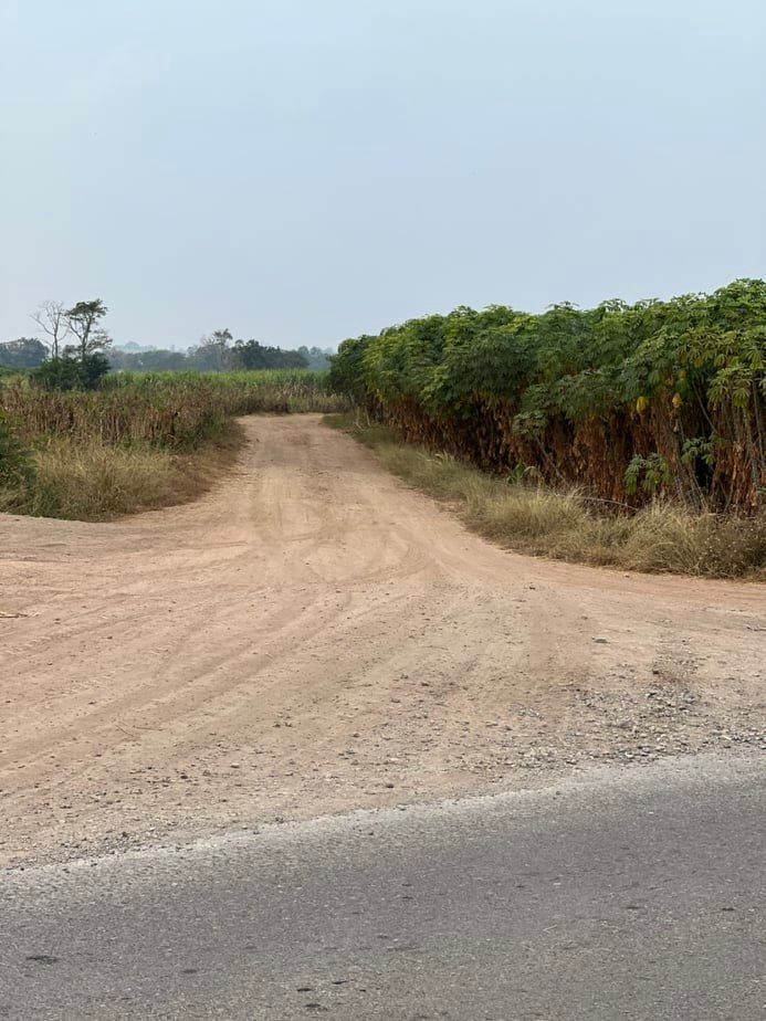 ขายที่ดินราคาถูก1.5แสนบาท/ไร่ อ.พยุหะคีรีจ.นครสวรรค์ใกล้อบต.เขาทองที่ดินสวยเหมาะทำการเกษตรปัจจุบันให้เช่าทำไร่อ้อย(มีผู้เช่า)บรรยากาศดีเดินทางสะดวก