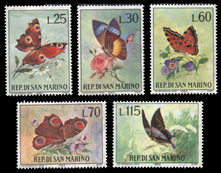 1963 Butterflies