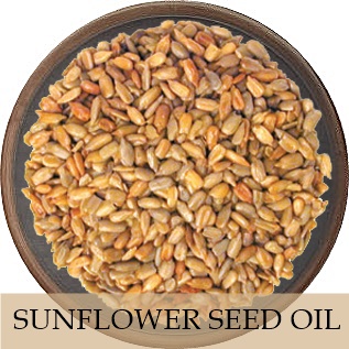 SUN FLOWER SEED OIL น้ำมัน เมล็ดดอกทานตะวัน