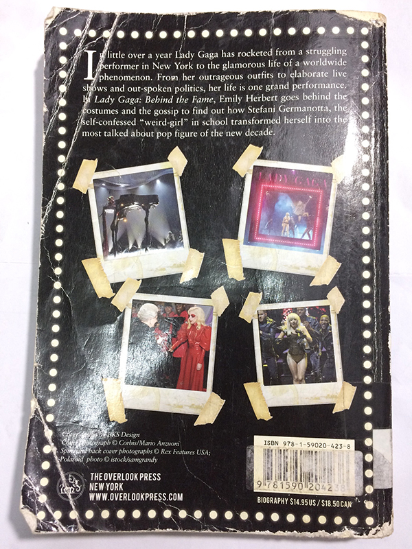 Lady Gaga Behind The Fame