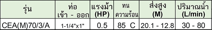 LOWARA ปั๊มน้ำแสตนเลส รุ่น CEA(M)70/3/A ไฟฟ้า220V
