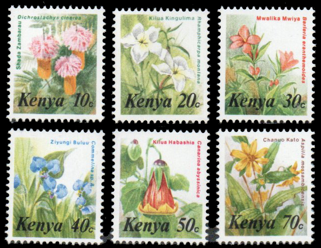 Flowers