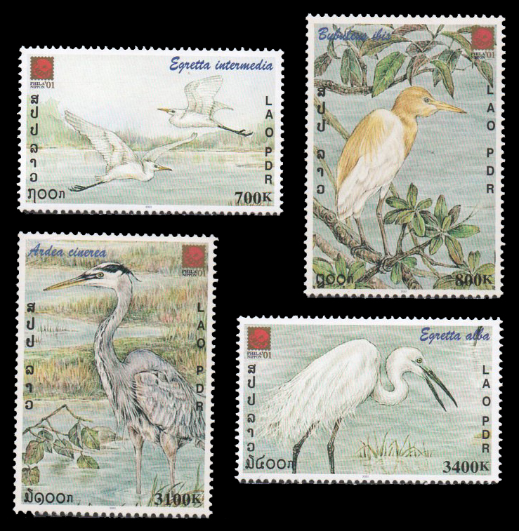 Stork 2001