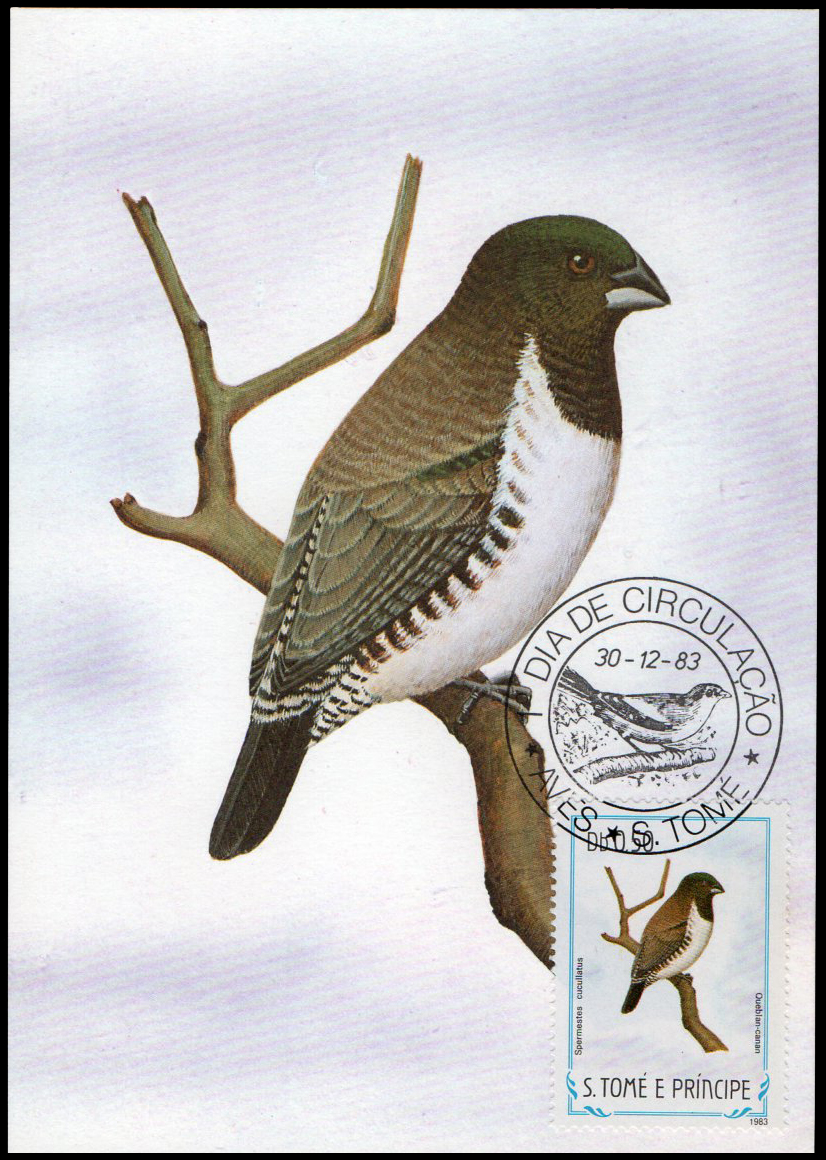 Post Cards S.Tome E Principe Bird 1983