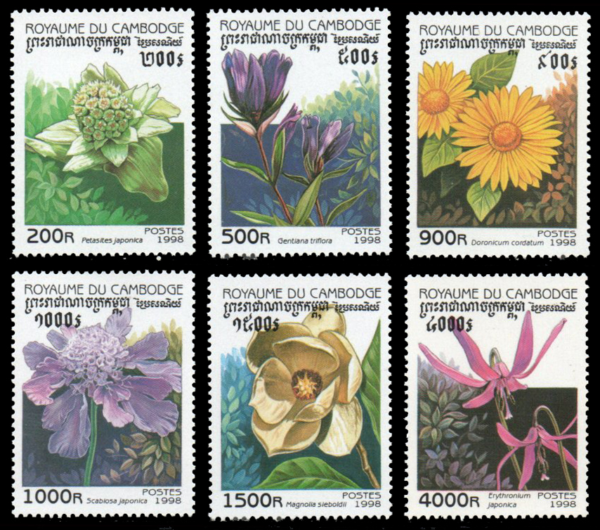 1998 Flowers