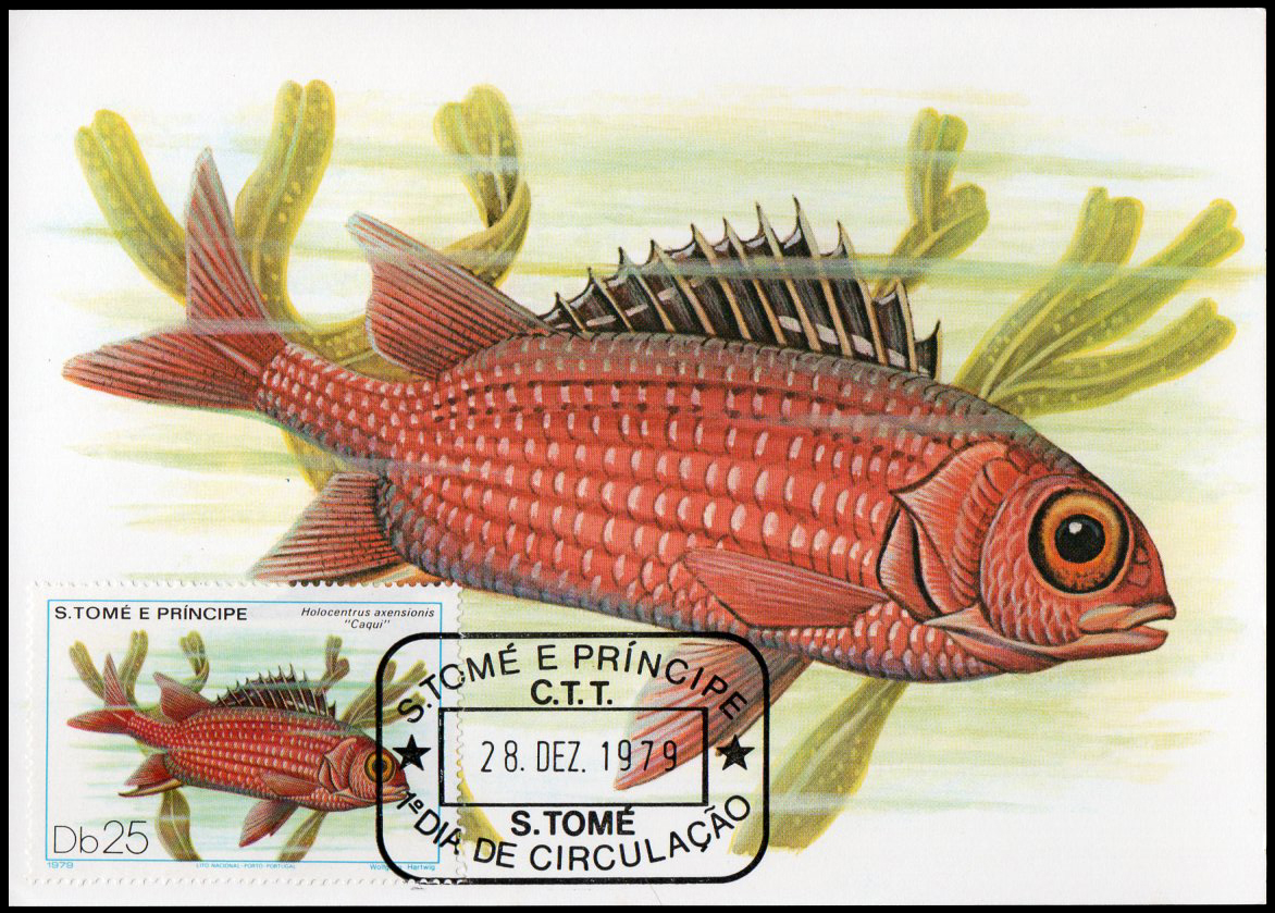 Post Card S.Tome E Principe Fish 1979