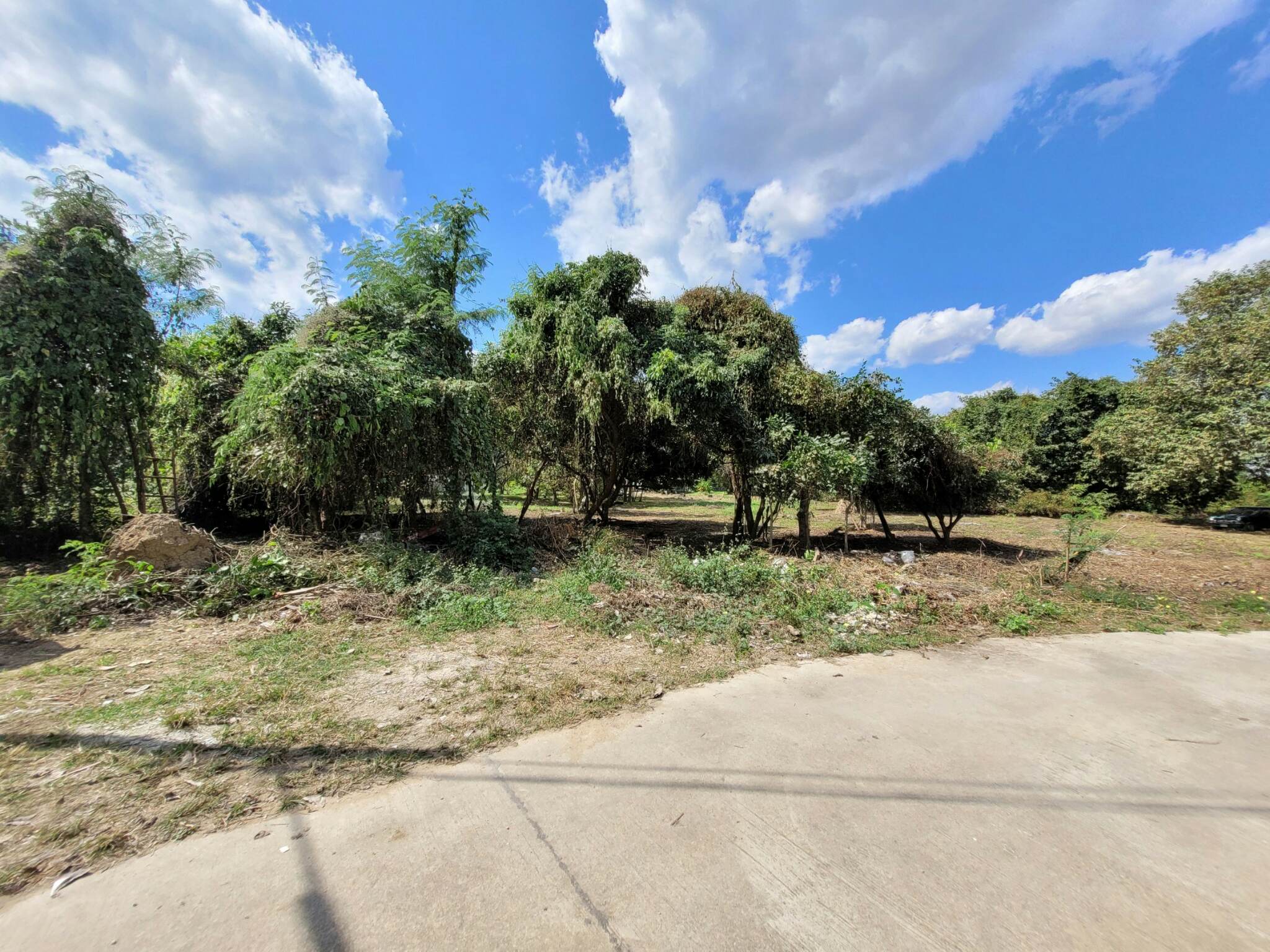 ขายที่ดินราคาถูก อ.เมืองลำปาง เจ้าของขายโดยตรง ใกล้โกบอลเฮ้าส์และเซเว่นสาขาปงแสนทองที่ดินสวยเหมาะทำธุรกิจบรรยากาศดีแบ่งขาย 3 ไร่ ติดต่อเจ้าของที่ 081-9525175 คุณอำนวย