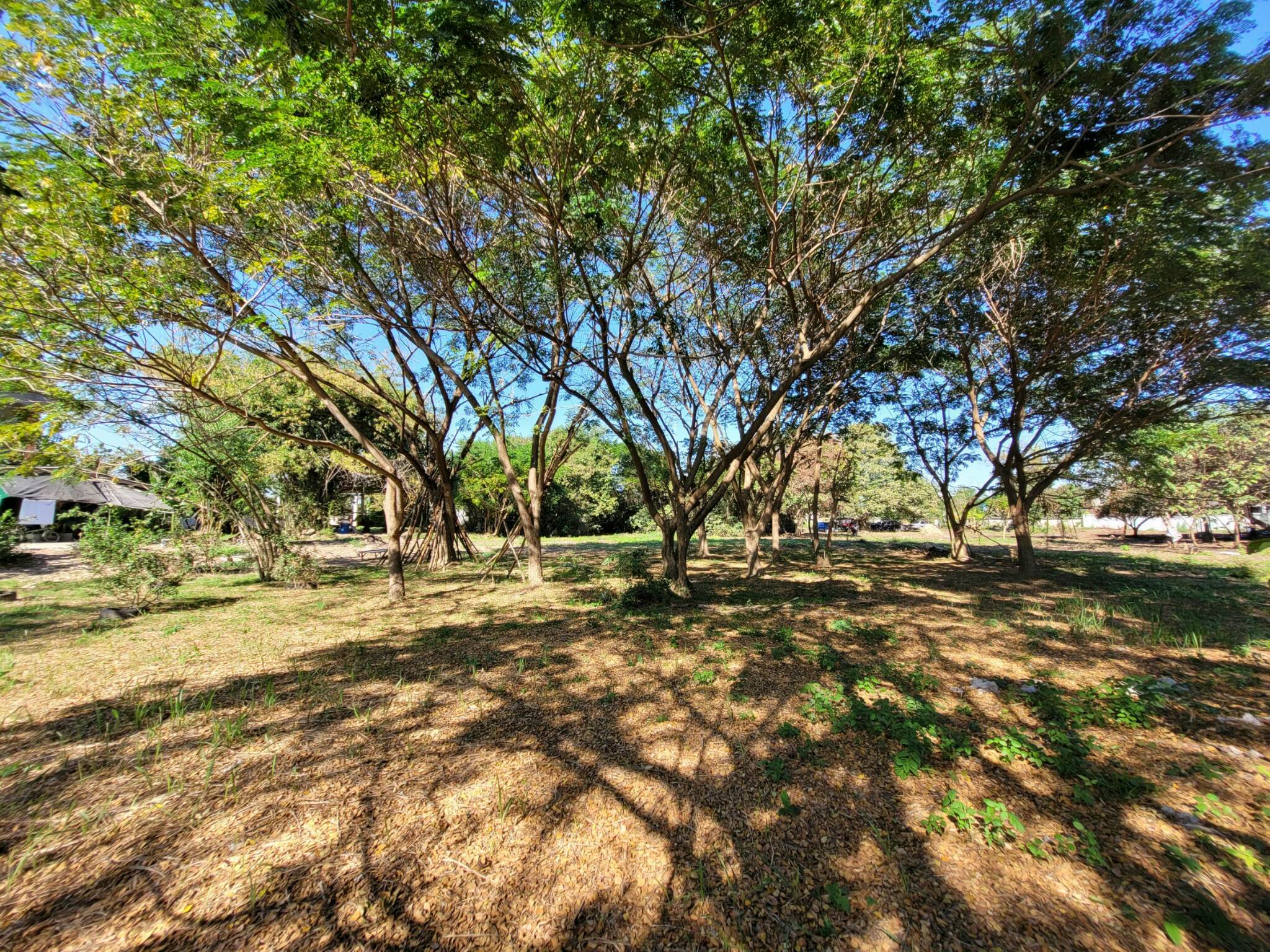 ขายที่ดินราคาถูก อ.เมืองลำปาง เจ้าของขายโดยตรง ใกล้โกบอลเฮ้าส์และเซเว่นสาขาปงแสนทองที่ดินสวยเหมาะทำธุรกิจบรรยากาศดีแบ่งขาย 3 ไร่ ติดต่อเจ้าของที่ 081-9525175 คุณอำนวย