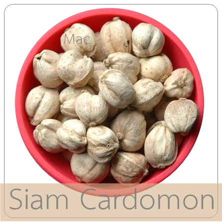SIAM CARDAMON ลูกกระวาน