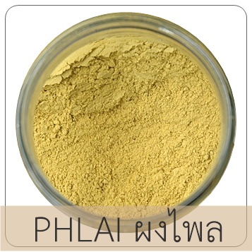 PHLAI ผงไพล