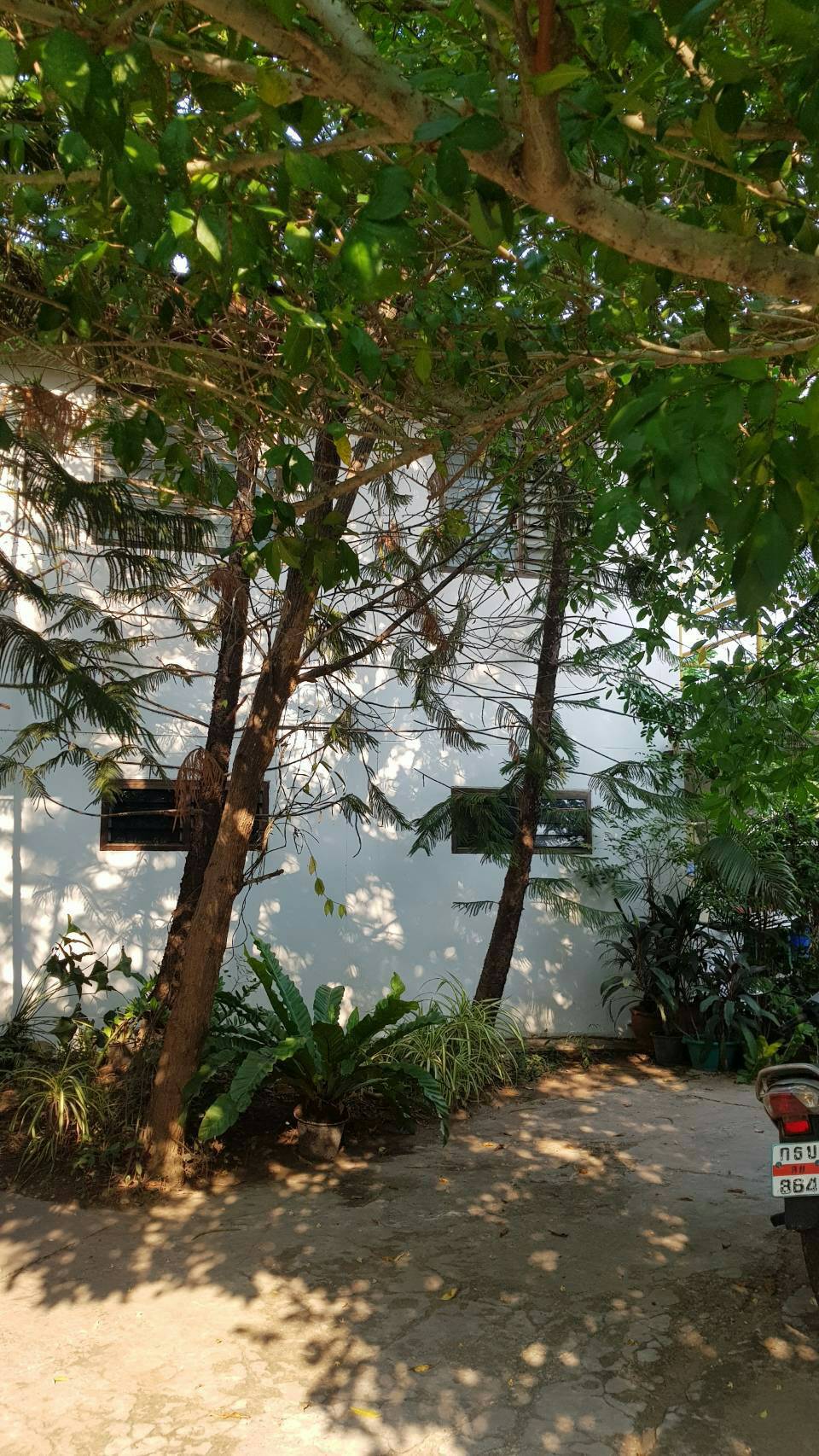 ขายบ้านพร้อมที่ดินและกิจการบ้านอุ่นรักร้านอาหาร+ร้านกาแฟ+ห้องพักรายวันใจกลางอ.เมืองหนองคายพร้อมอุปกรณ์เครื่องใช้ เฟอร์นิเจอร์ครบครันเหมาะสำหรับผู้รักในการทำธุรกิจ