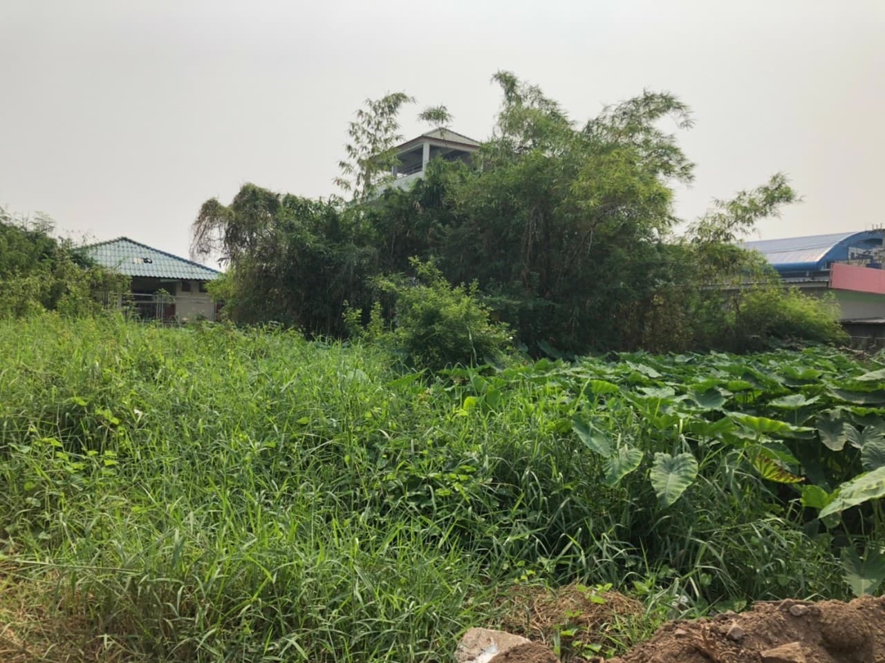 ขายที่ดินราคาถูกกลางเมืองอุทัยธานีห่างจากสถานีขนส่งผู้โดยสารอุทัยธานี 285 เมตร