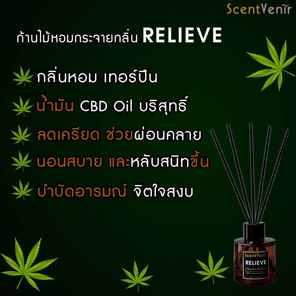 ก้านไม้หอม ไม้หวายกระจายกลิ่น ปรับอากาศ กลิ่น กัญชา Cannabis Reed Diffuser ผสม น้ำมัน CBD Oil ใช้ได้นาน 1-2 เดือน