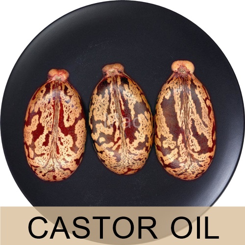 CASTOR OIL น้ำมันเมล็ดระหุ่ง/castor oil extra pale press grade