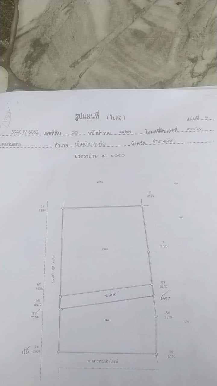 ขายที่ดินพร้อมสิ่งปลูกสร้าง 4 ห้องนอน 3 ห้องน้ำ 1 ไร่ 3 งาน 43 ตรว. ใกล้วิทยาลัยเทคนิคอำนาจเจริญ อ.เมือง จ.อำนาจเจริญ