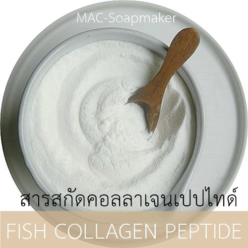 Fish collagen peptide / HYDROLYZED COLLAGEN /สารสกัดคอลลาเจนเปปไทด์จากปลา เป็นผง