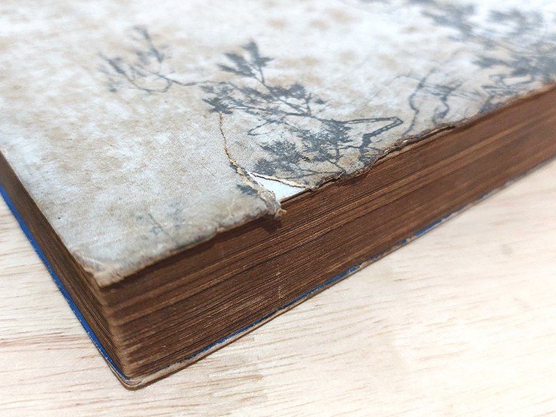 วิถีแห่งเต๋า