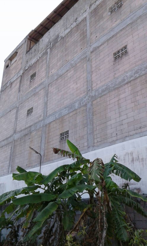 ขายบ้านรังนก พร้อมที่ดิน มีบ้านสำหรับพักได้ด้านล่าง มีนกแล้วประมาณ 350-400 ตัว