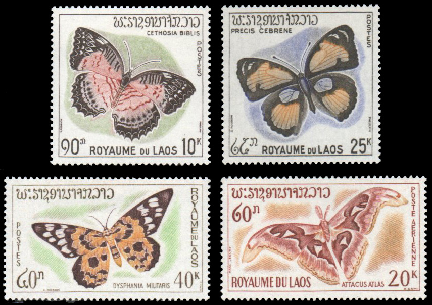Butterflies and Moths 1965