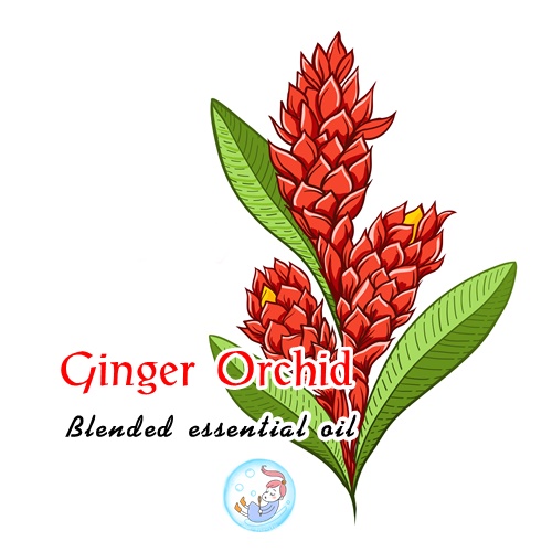 Ginger Orchid น้ำมันหอมระเหยผสม จิงเจอร์ ออคิด Floral Green