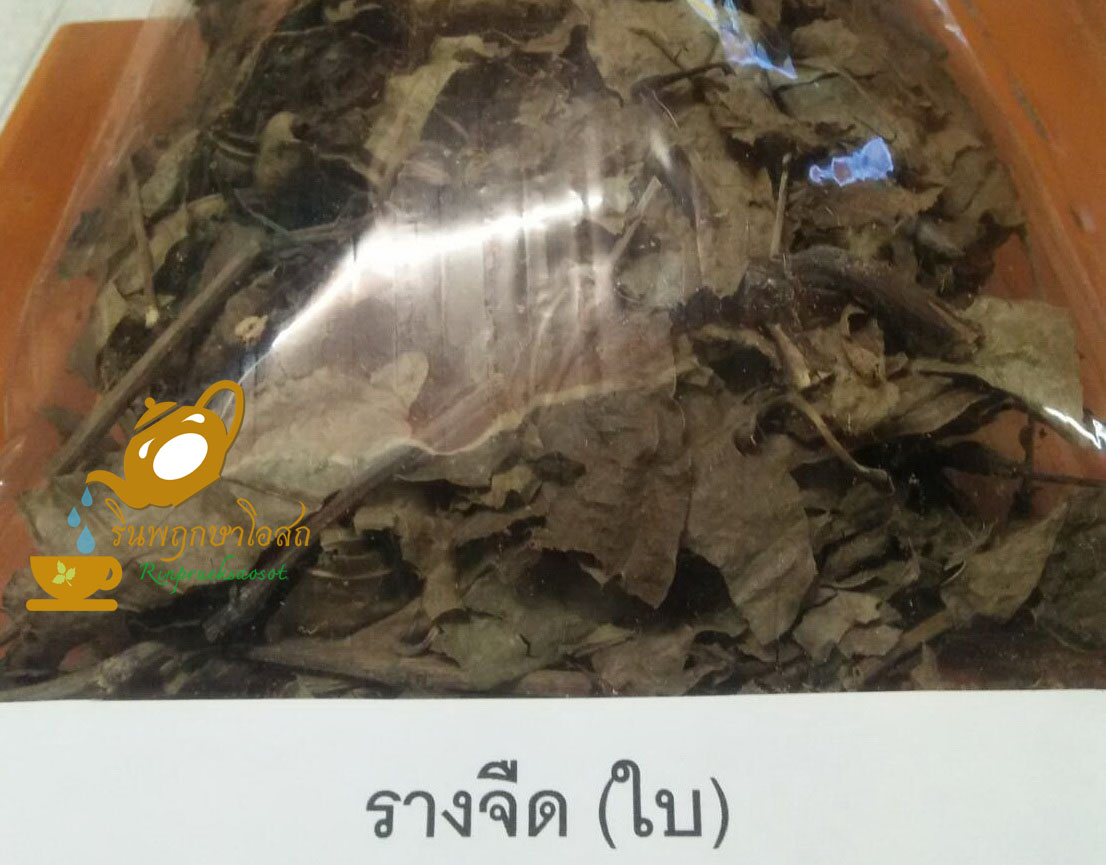 ใบรางจืด 1 กิโลกรัม