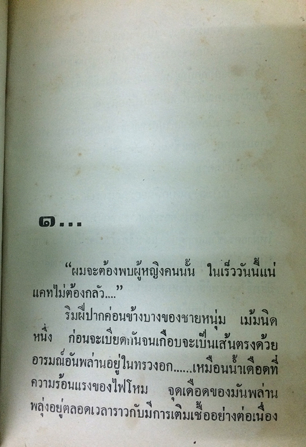 สายใยสวาท (1-2เล่มจบ)