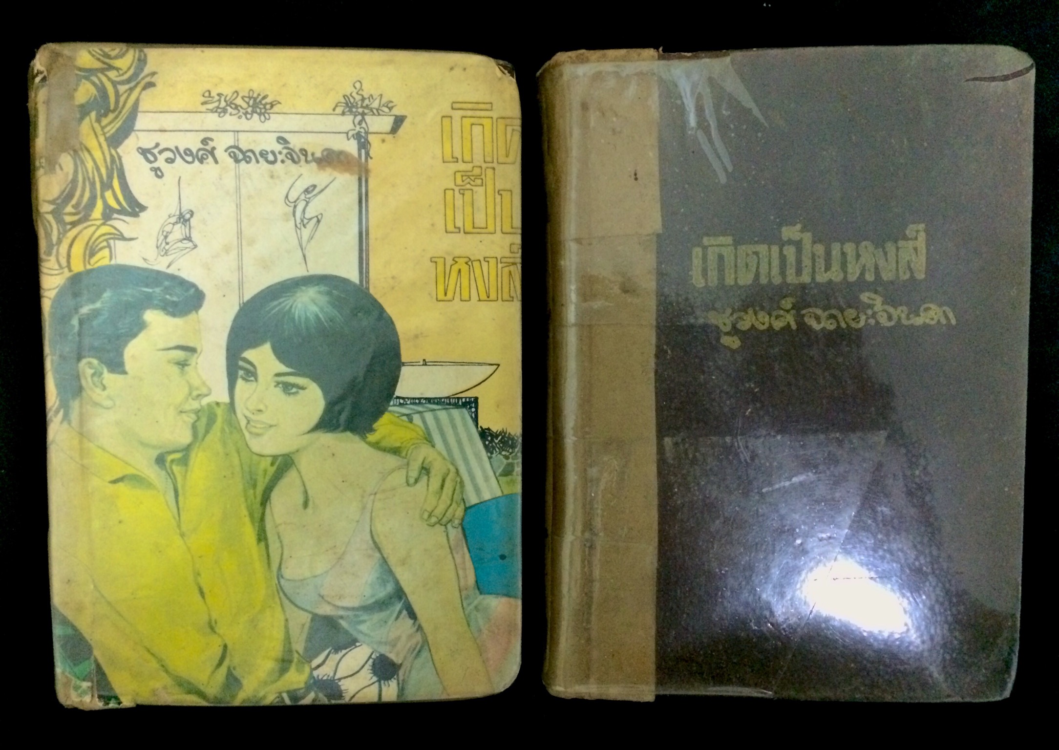 เกิดเป็นหงส์ เล่ม 1-2(จบ)