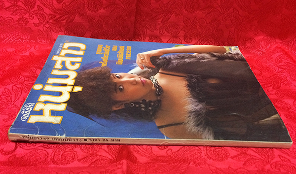 หนุ่มสาว ฉบับมินิ เล่มที่ 17