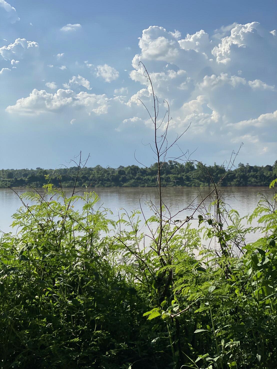 ขายที่ดินติดริมแม่นํ้าโขง อ.เมืองหนองคาย 300 ตรว. ด้านหน้าเป็นคอนกรีตบรรยากาศดีเหมาะแก่การสร้างบ้านอยู่อาศัยหรือทำธุรกิจพื้นที่กว้างพร้อมสำหรับทุกคนในครอบครัว