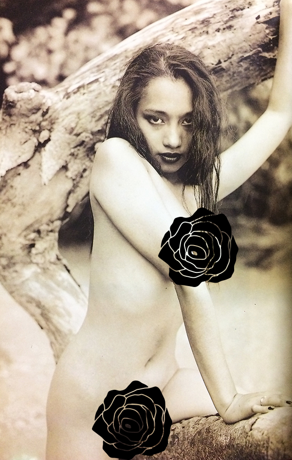 ไฟกลางคืน Playmates