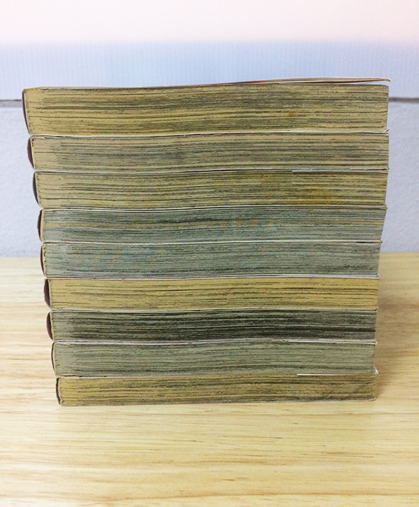 Debusen คุณครูพันธุ์ตุ๊ เล่ม 1-9 (จบ)