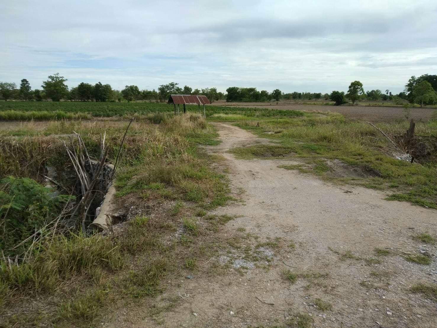 ด่วนขายที่ดินราคาถูกใกล้ถนนใหญ่พหลโยธิน 2.6 กม.ห่างจากปั้มบางจากถนนสายเอเชีย 5 กม.61 ไร่ 2 งาน 82 ตรว.การเดินทางสะดวก อ.เมืองนครสวรรค์