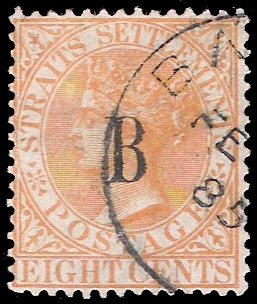 B19
