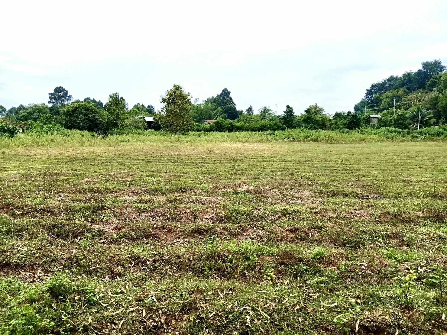 📢💥ที่ดินราคาถูกติดถนนลาดยางงานละ325,000บาทใกล้ตลาดสดซำสูงจ.ขอนแก่นใกล้โรงเรียนเหมาะสร้างบ้านอยู่อาศัยหรือทำธุรกิจสนใจติดต่อเจ้าของตามเบอร์ท้ายประกาศ📢💥