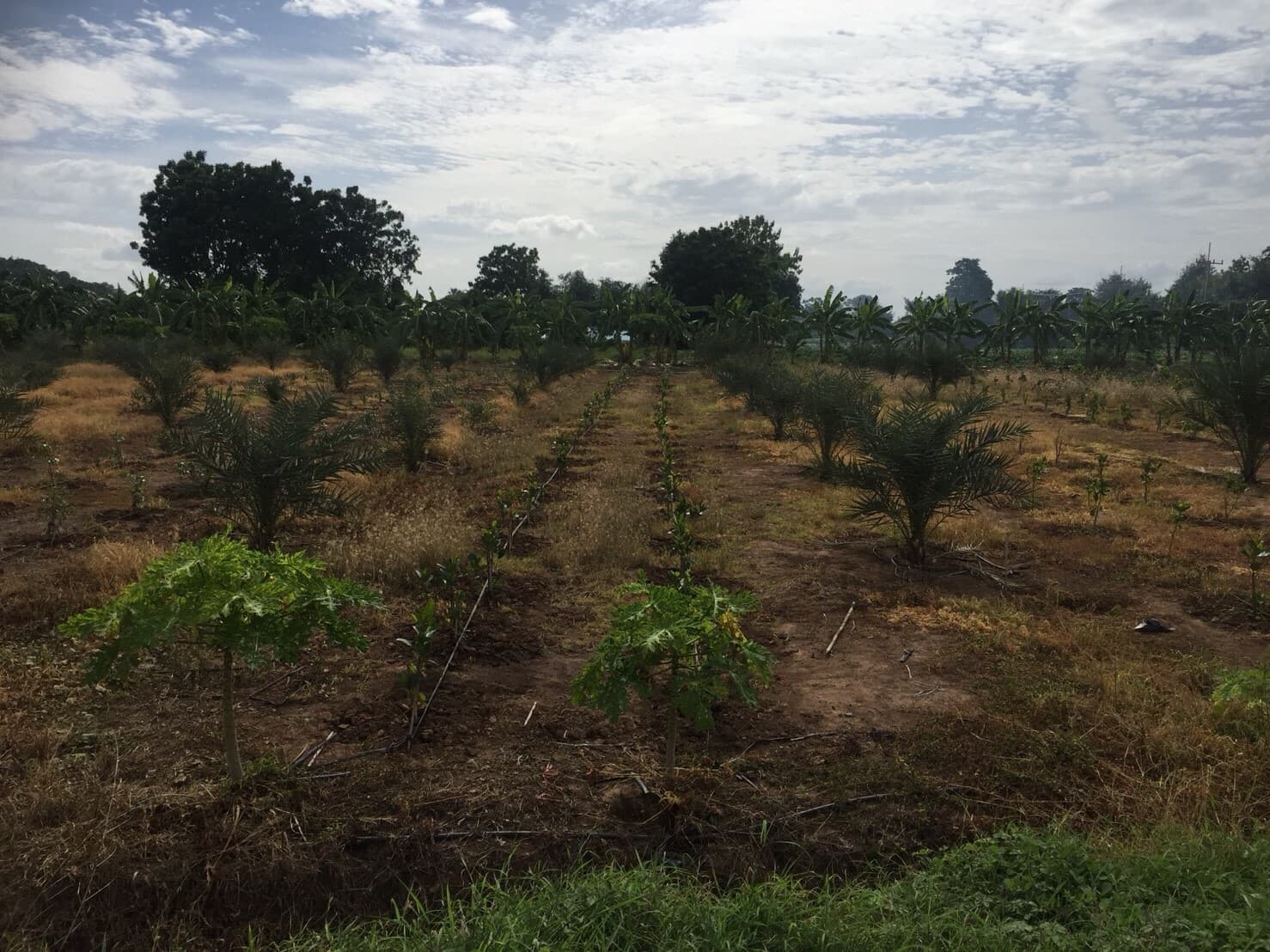 ขายบ้านพร้อมที่ดินราคาถูกติดถนนใหญ่หมายเลข (3468) ห่างจาก อบต.บ้านโข้ง 876 เมตร