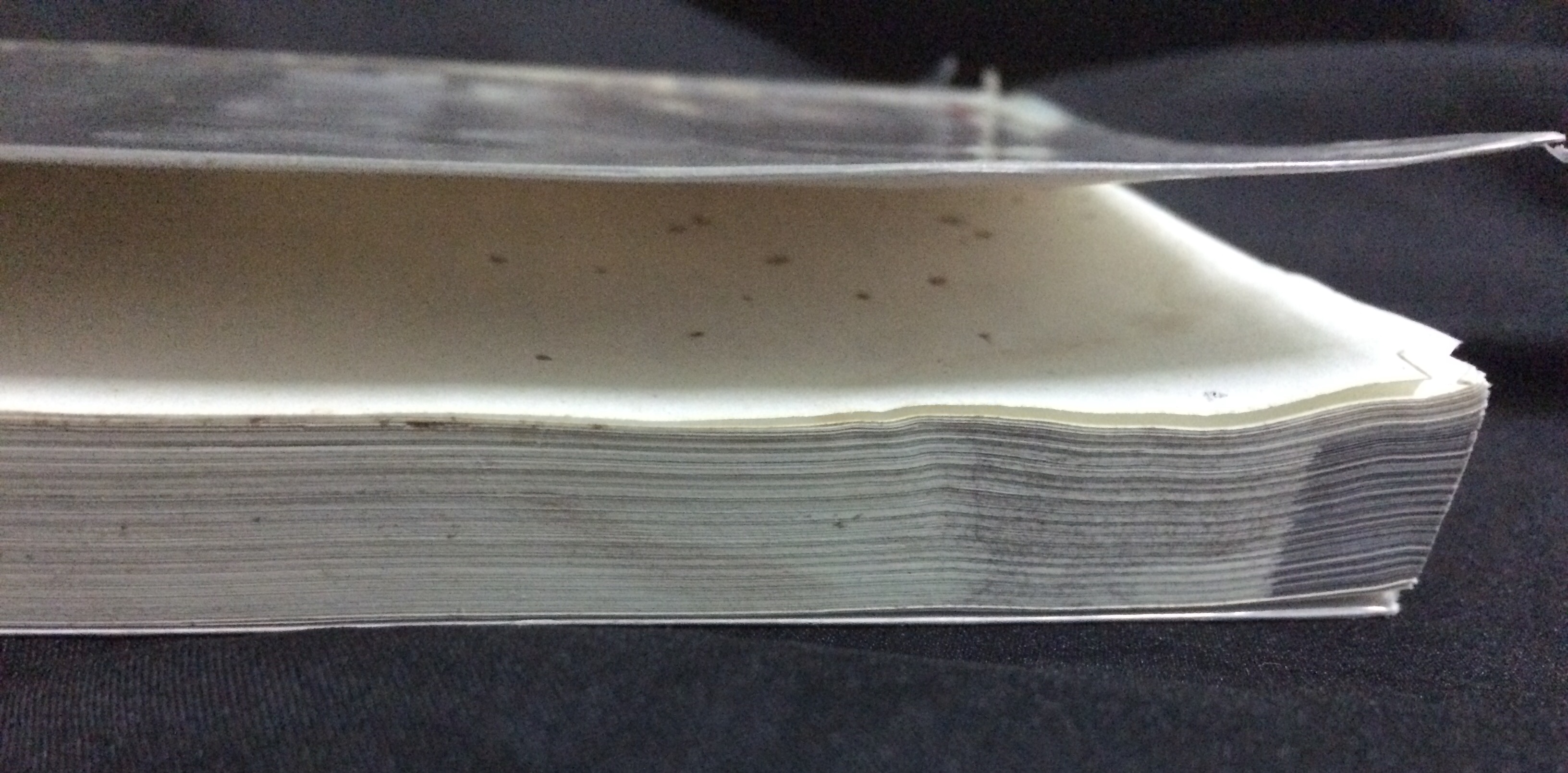 ฟ้าบ่กั้น