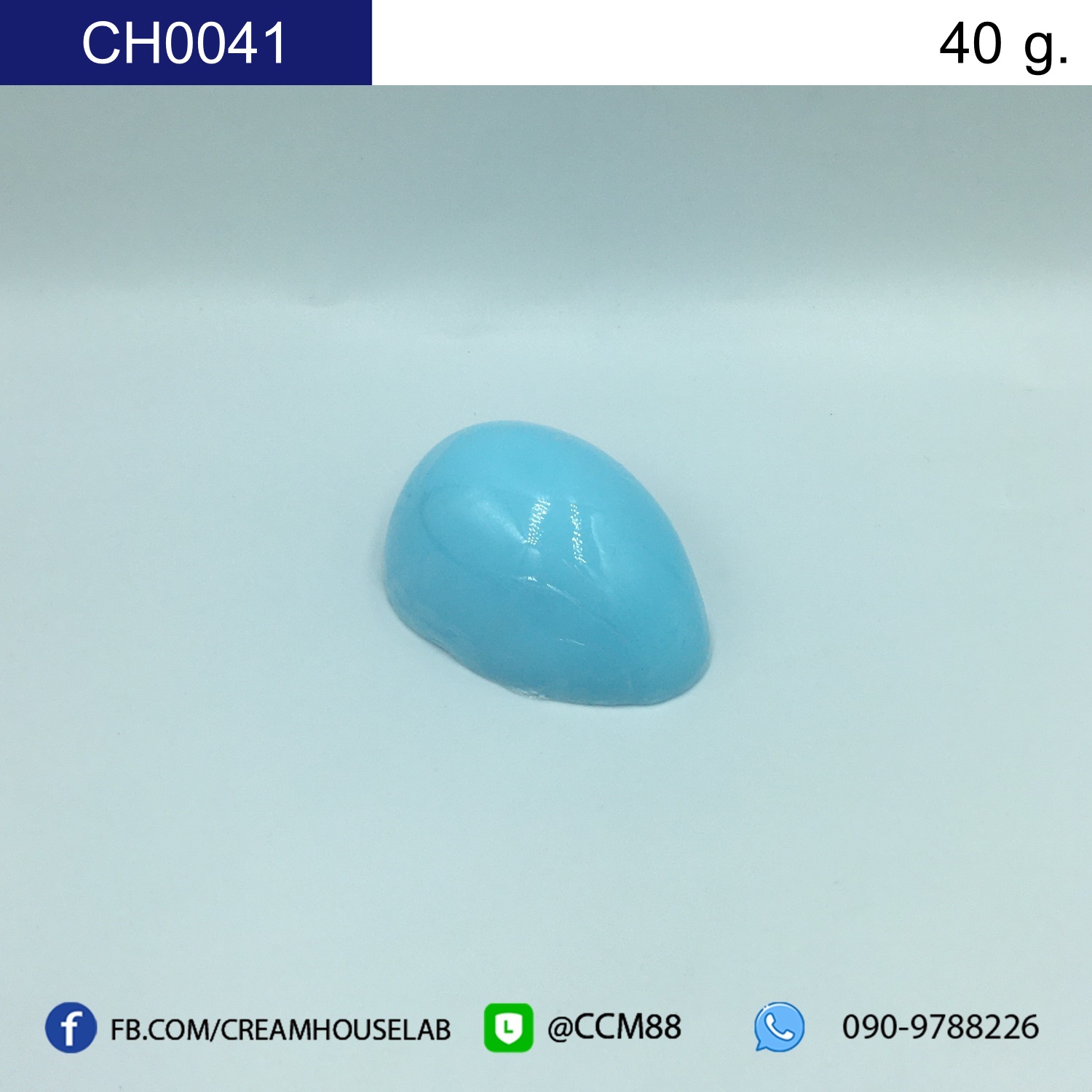 รหัส CH0041