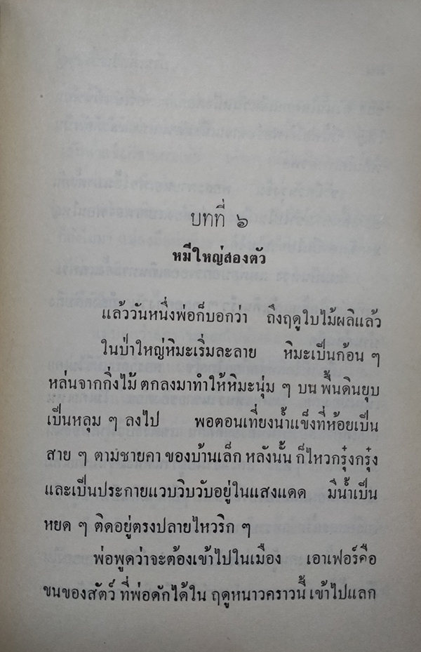 บ้านเล็กในทุ่งกว้าง (ตำหนิ)