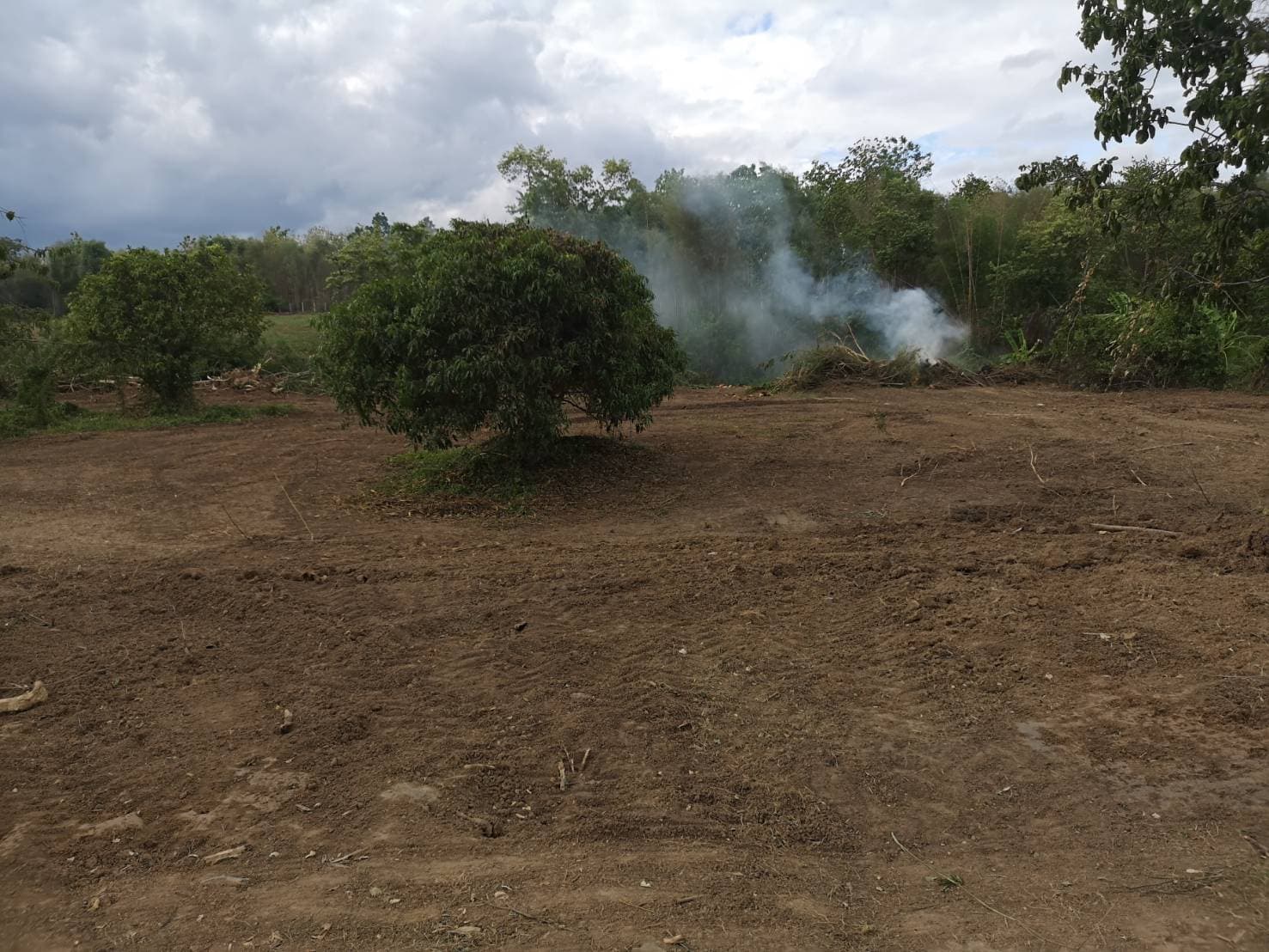 ด่วนขายที่ดินพร้อมบ้านสวนราคาถูกที่สุดมีประปาพร้อมใช้งานเนื้อที่ิ 5 ไร่ 2 งาน 69 ตรว. บ้านนาฟาน ต.ดอนไฟ อ.แม่ทะ จ.ลำปาง