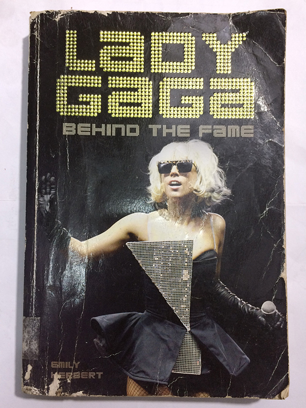 Lady Gaga Behind The Fame